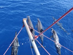 Visite de Célyne et Faf